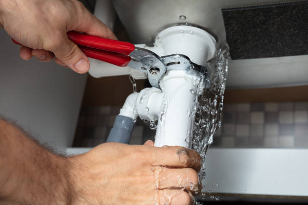 Best Mold removal after water damage  in Manchester, WA