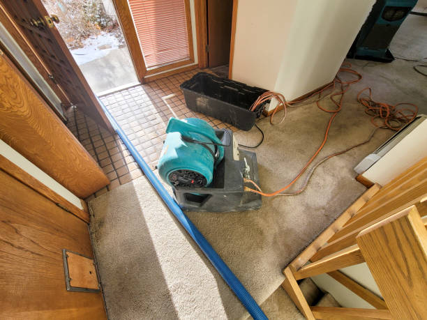 Best Flood restoration services  in Manchester, WA