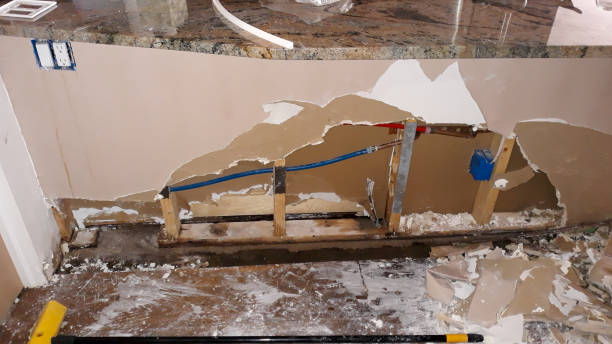 Best Water damage cleanup near me  in Manchester, WA