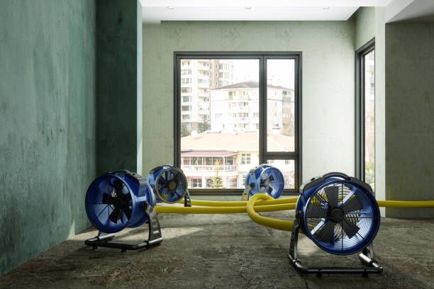 Best Water damage restoration company  in Manchester, WA